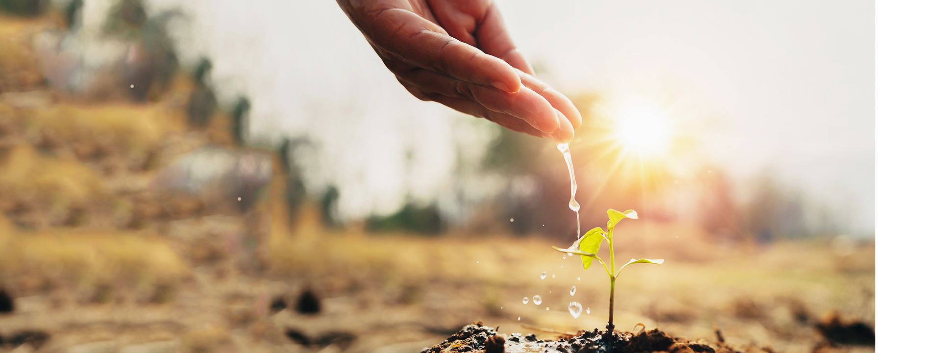 首页| 尊龙(中国集团)官方网站