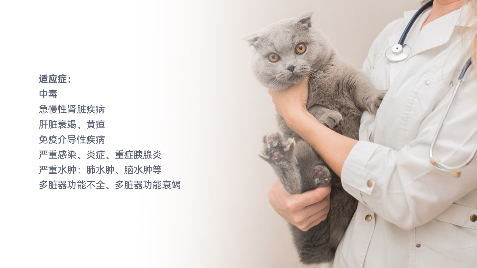 首页| 尊龙(中国集团)官方网站